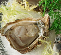 Ostras tibias con mermelada de chalotas y tomates verdes